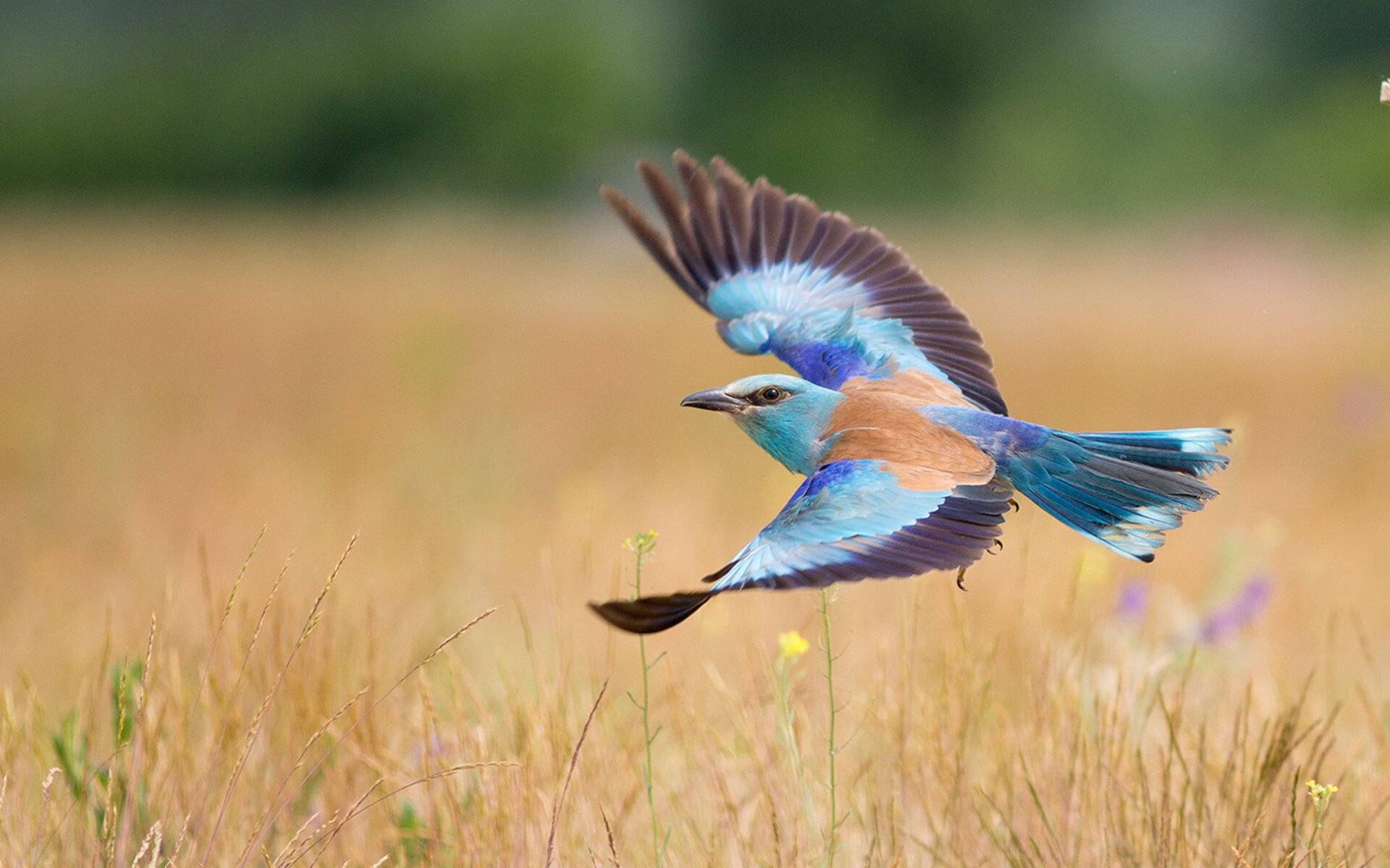 _未来体育产业峰会:科技创新引领行业变革_,未来体育赛事