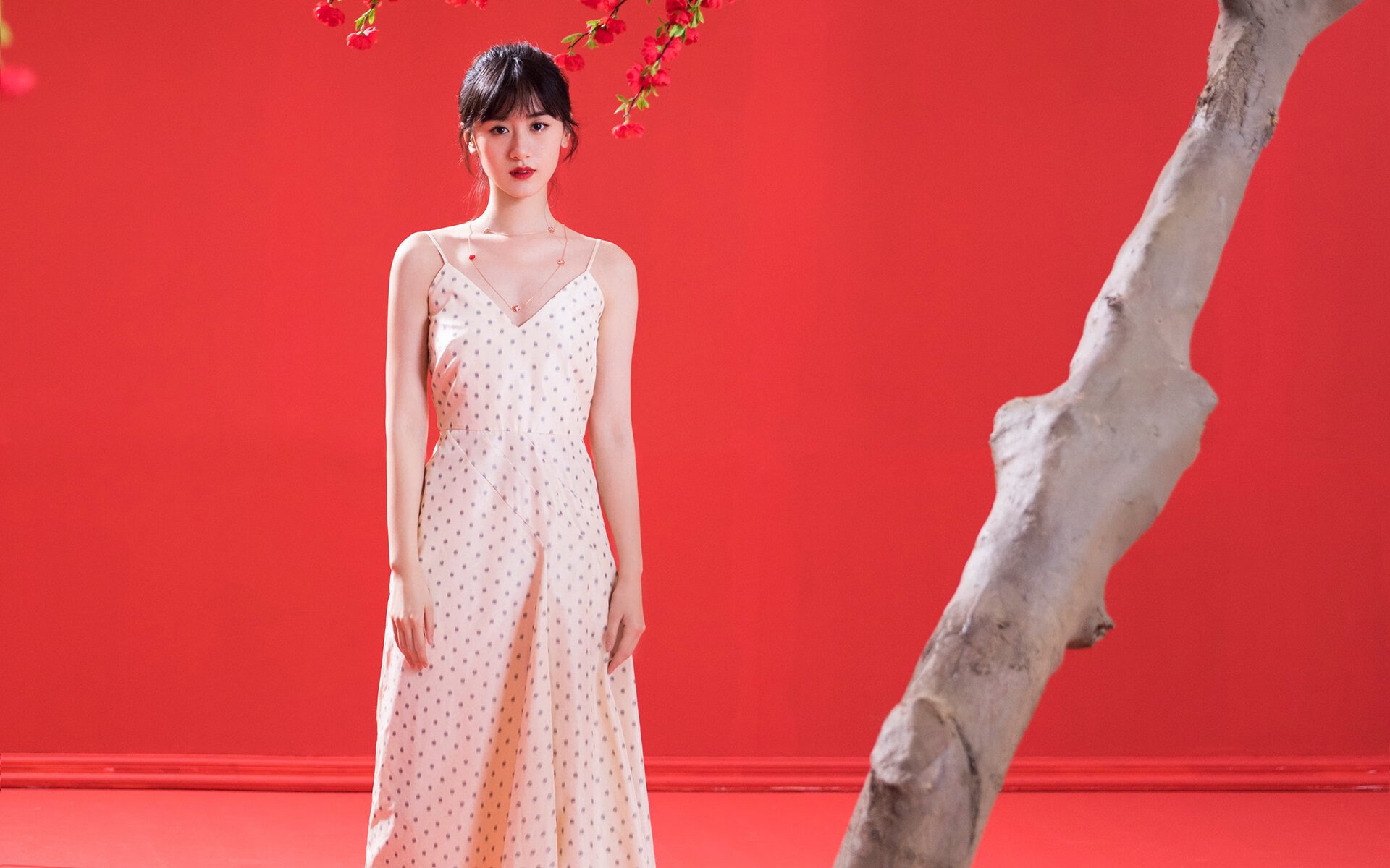 _海洋运动嘉年华:冲浪、潜水一站式体验_,海洋馆 潜水表演