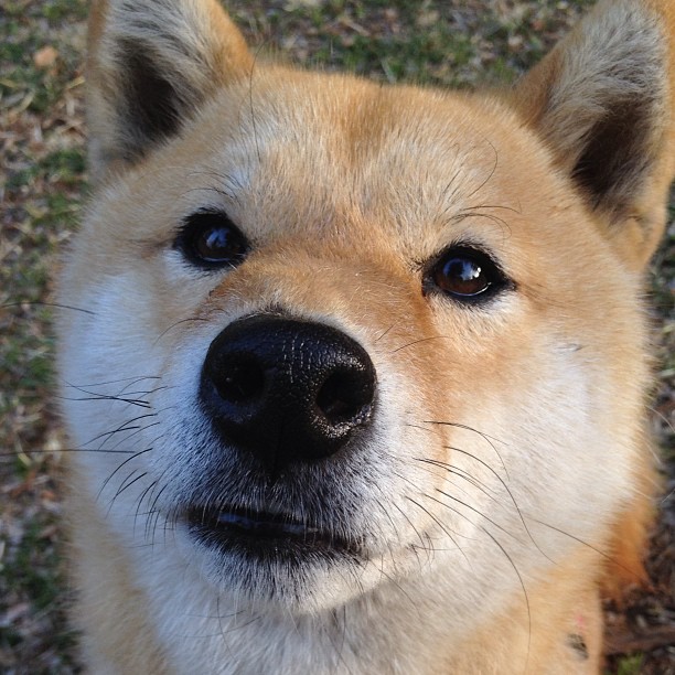 各地青少年篮球运动会促进区域体育一体化发展,全运会青少年篮球