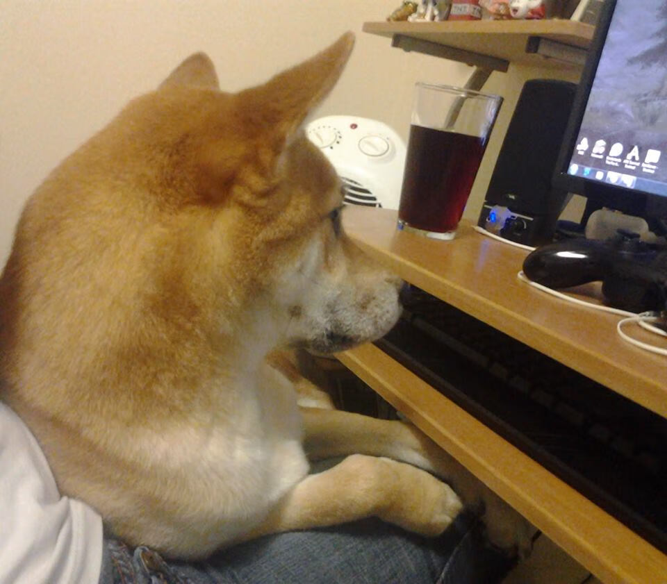 爱游戏体育官方网站-特色籃球装备创新引领行业潮流，满足多样化运动需求，篮球的运动装备