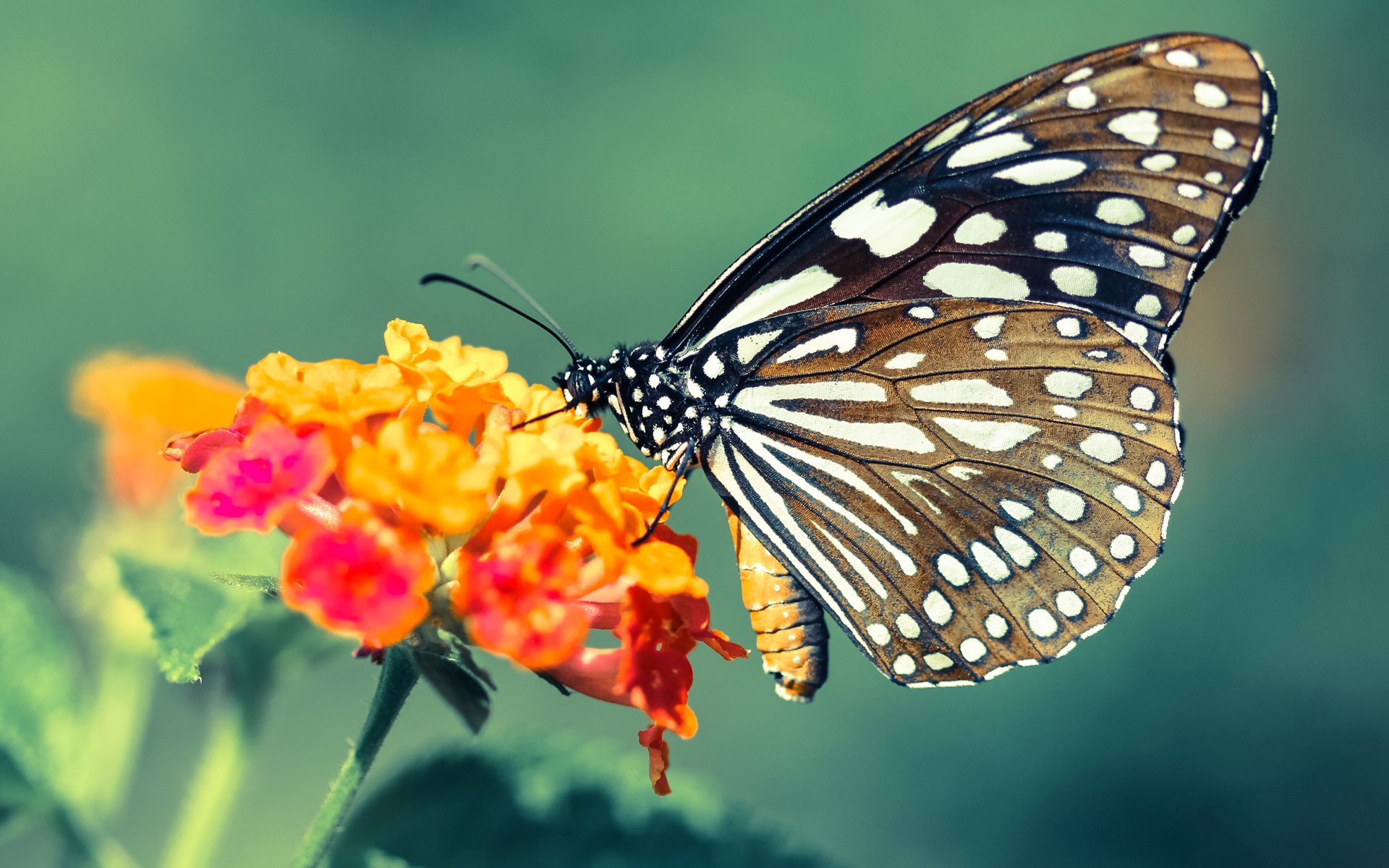 爱游戏官网-球员心声：欧冠最难忘的比赛中的那些瞬间，欧冠杯球员