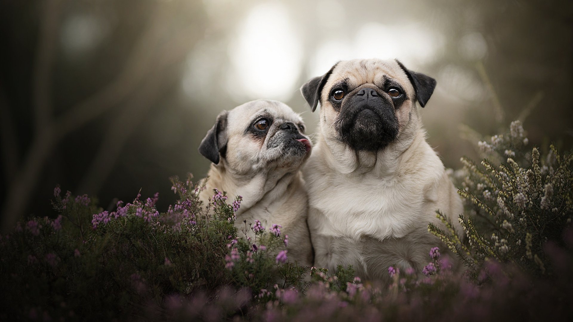 爱游戏综合娱乐-特色篮球文化展在全国巡展，弘扬运动精神与传统文化，篮球文化节美术作品