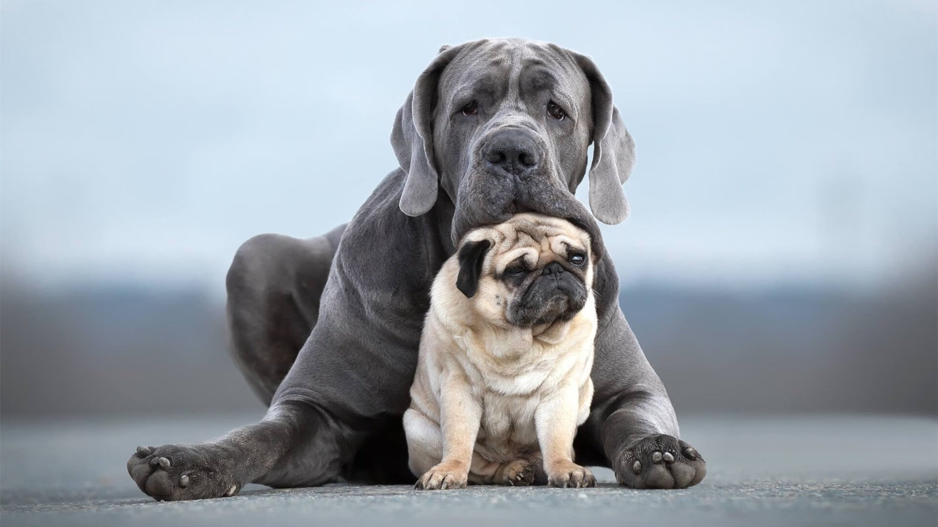 爱游戏体育官方网站-DOTA 2手游版推广加速，dota2的手游