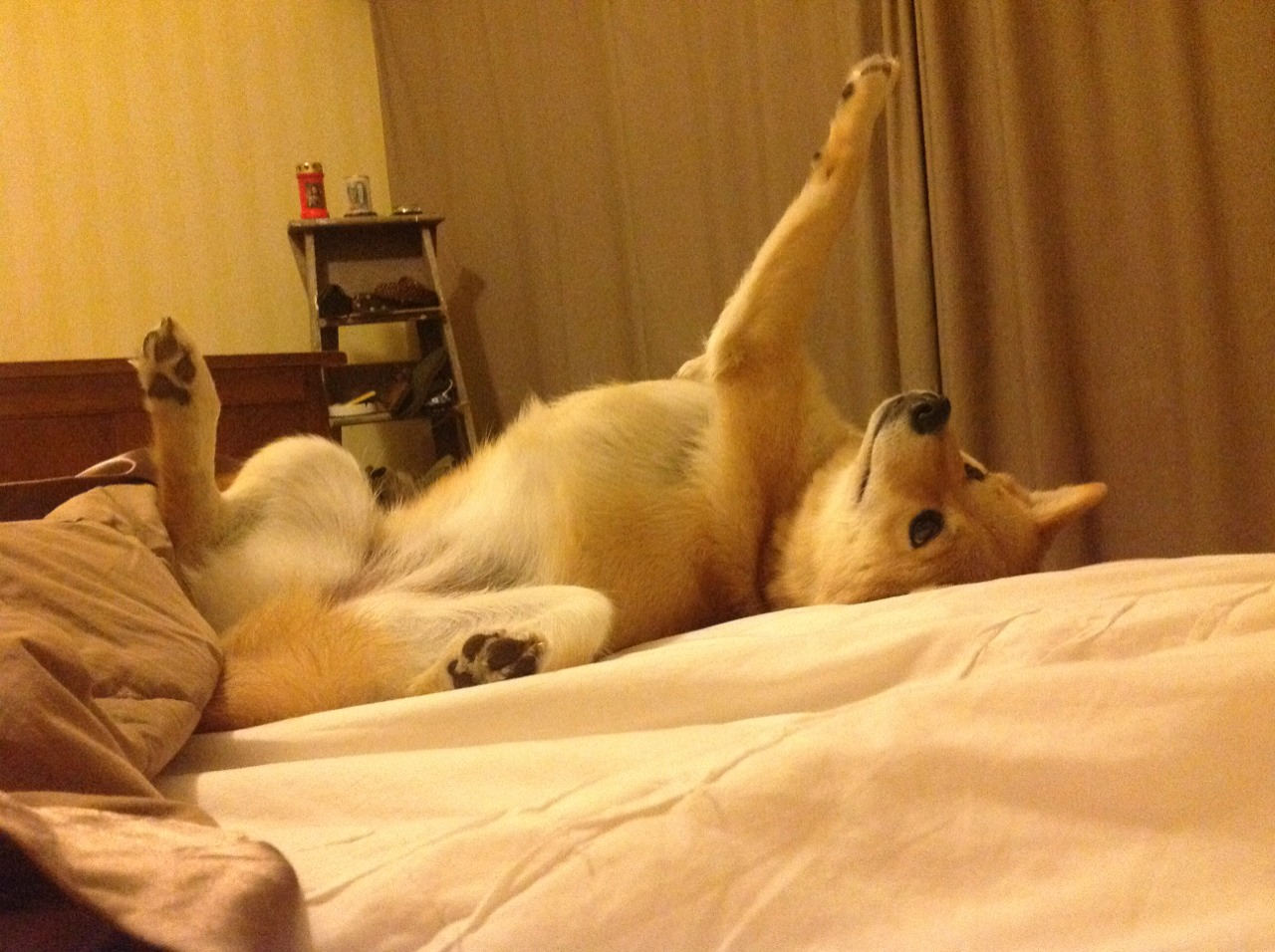 爱游戏体育-堡垒之夜推出独家迪士尼皮肤包，travis scott堡垒之夜皮肤