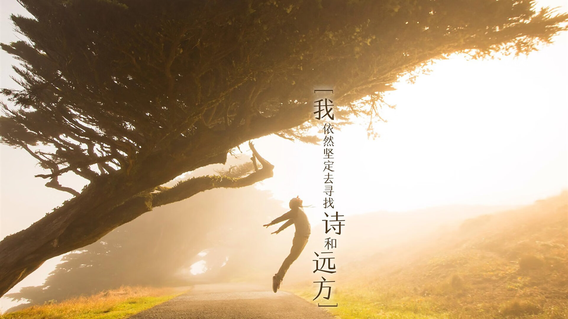 爱游戏app-瑞士马术协会推出马匹健康管理系统，提升马匹福利。，瑞典马拉松