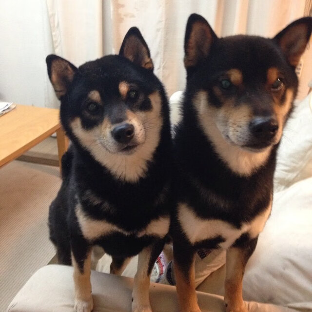 中小学体育活动管理优化策略,如何加强中小学体育教学质量的管理