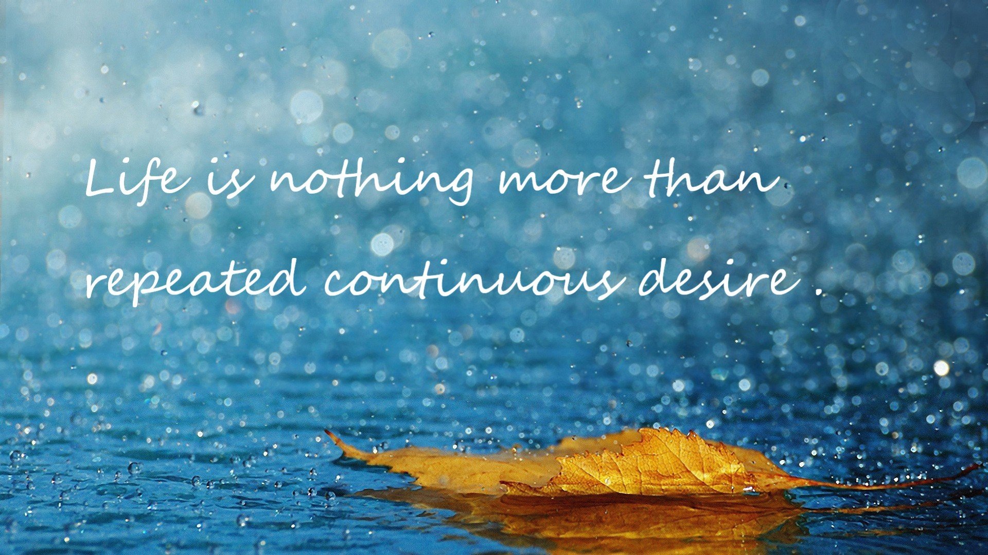 校园体育场馆智能管理系统设计与实现,学校体育场馆运营管理方案