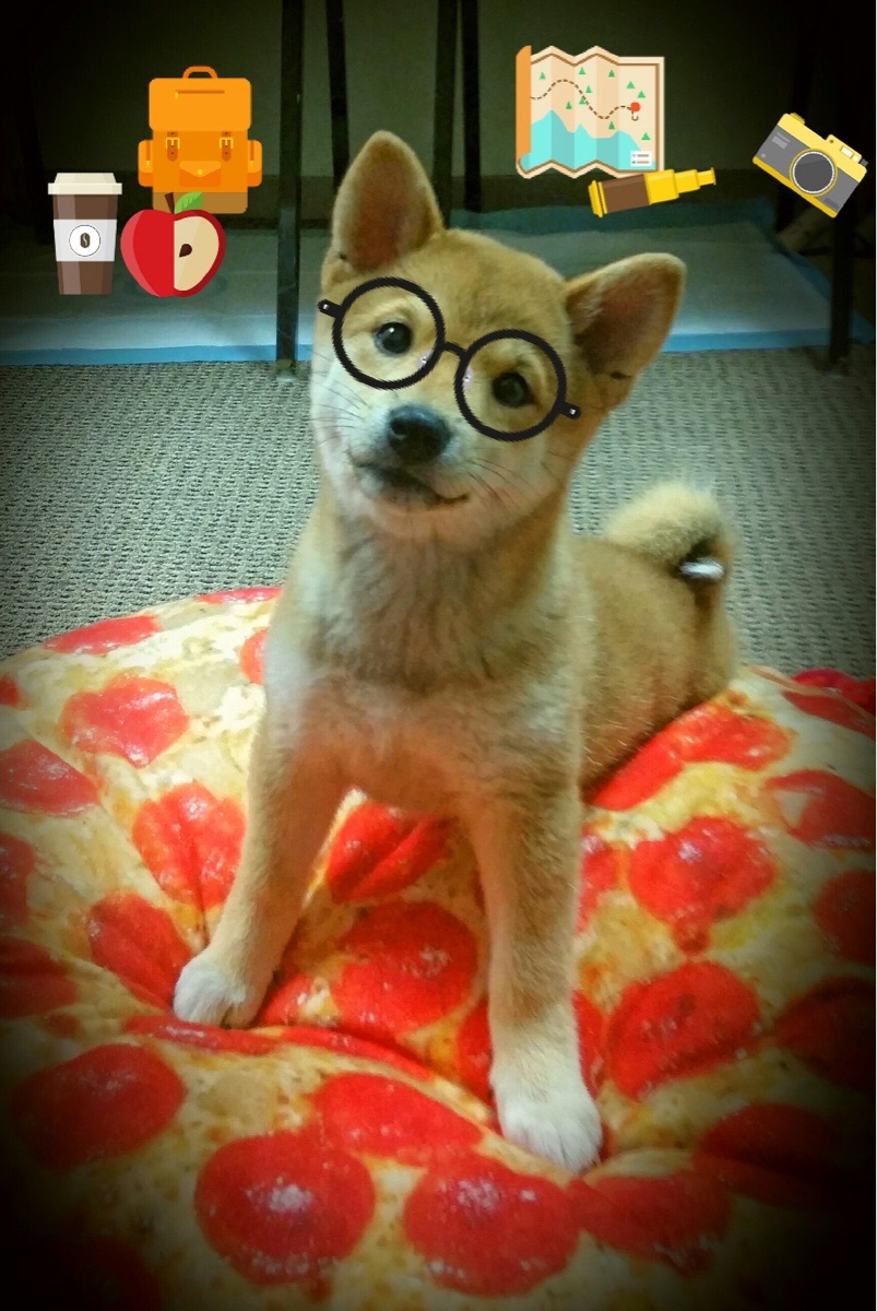 爱游戏官方-NBA球员慈善活动走进中国校园，nba慈善家