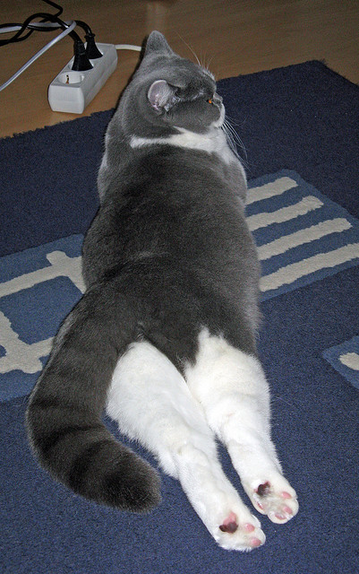 爱游戏下载-五大联赛是否通过间断节奏控制比赛情绪主导权，五大联赛激烈程度