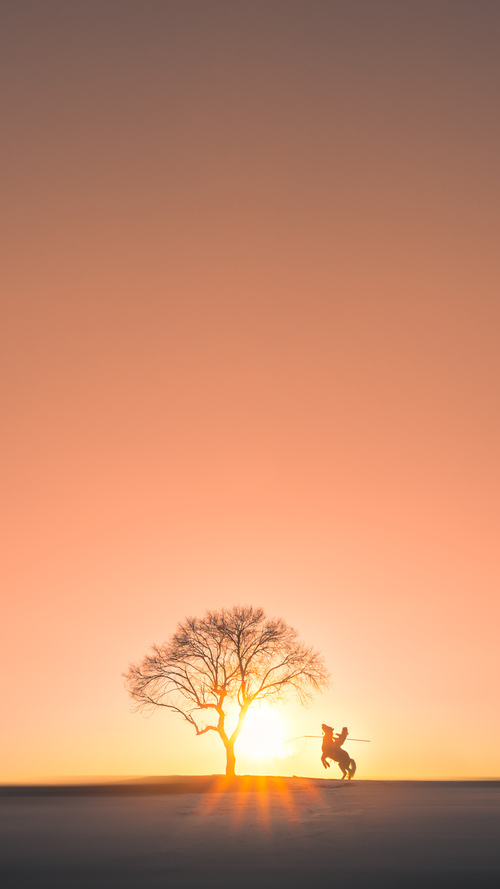 埃及赛制背后的战略:推动全国乒乓水平全面提升,埃及乒乓球发展状况