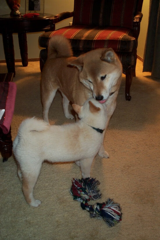 AYX体育官网-斯诺克世锦赛丁俊晖逆转晋级四强，斯诺克世界锦标赛丁俊晖