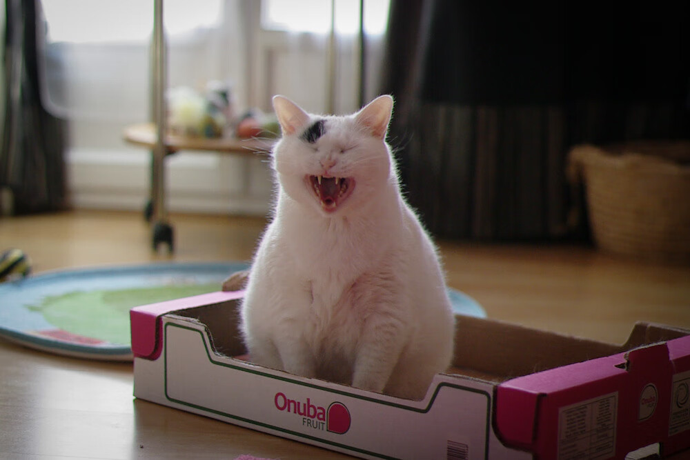 爱游戏娱乐平台-瑞典队未来展望：如何实现更强的国际竞争力，瑞典队伍