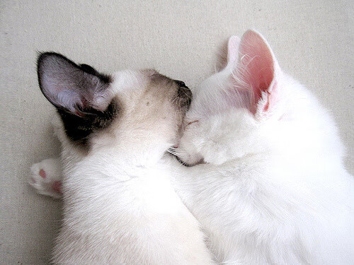 爱游戏体育-特色足球主题的数字文创产品持续推出，市场反响热烈，足球文化艺术字