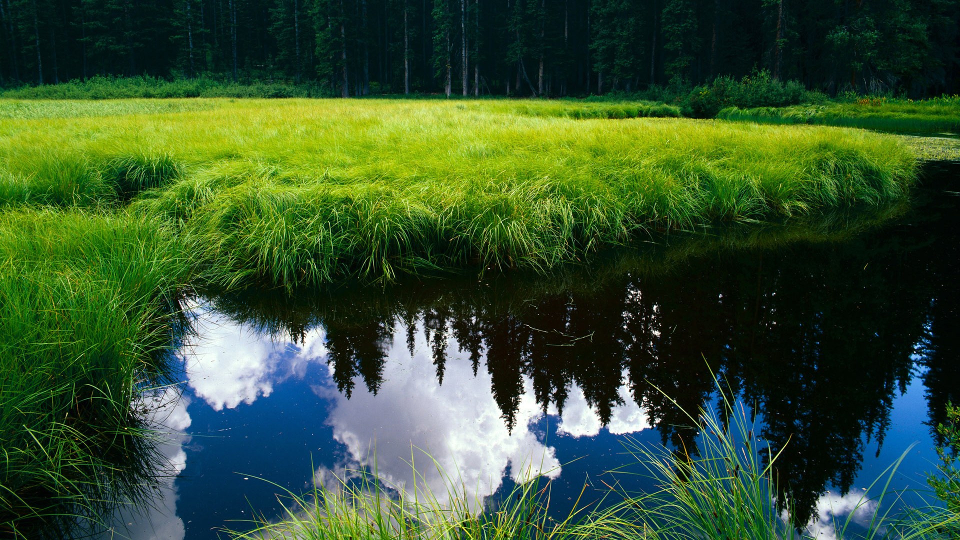 AYX GAMING-美洲杯明星奋战：突破防线，激情飞扬！，美洲杯选手